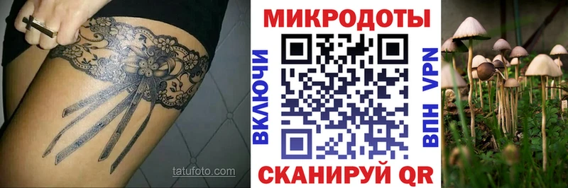Галлюциногенные грибы Psilocybine cubensis  Галич 
