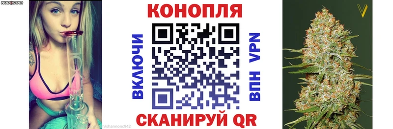 Марихуана сатива  Галич 