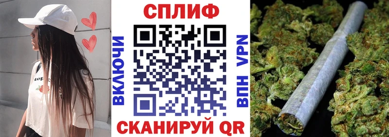 Каннабис планчик Галич